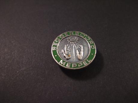 Reggersoord Meppel verplegers pin (Dames)